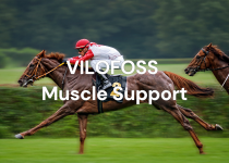 Bild für Info Muscle Support