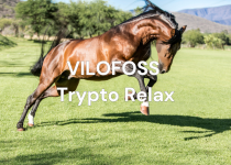 Bild für Info TryptoRelax